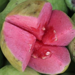 Pulpa de guayaba